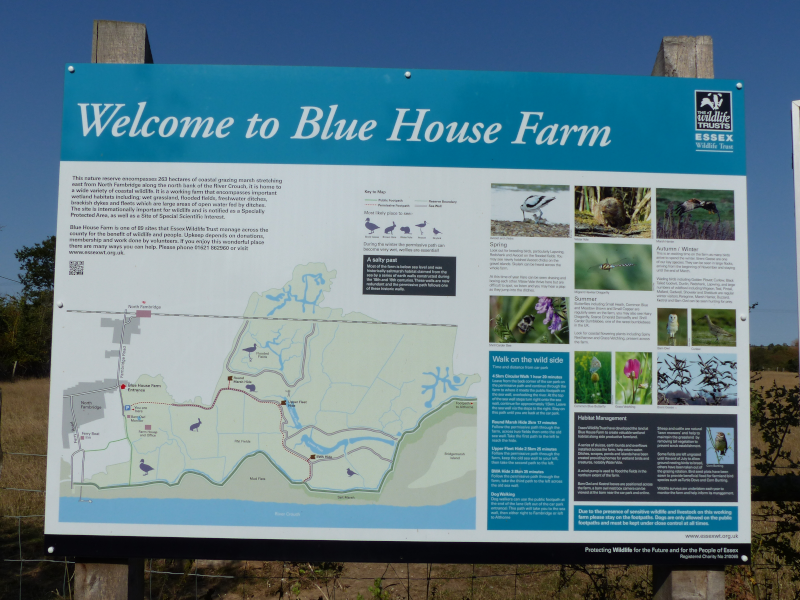 Blue House Farm panel. Sadly, the hides are shut.