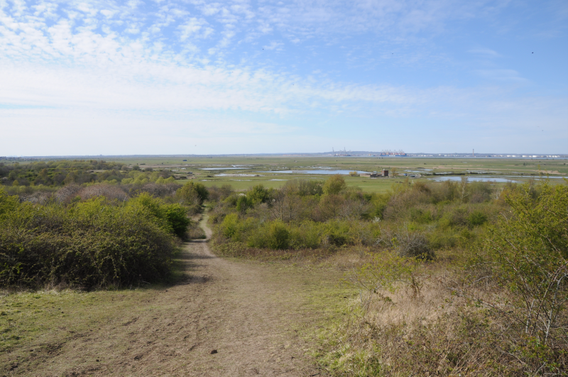 Looking West from Woodland viewpoint