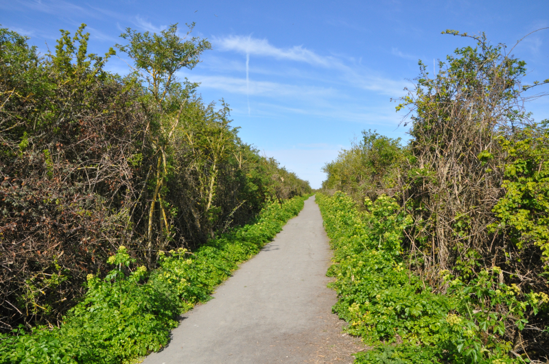 A look along the path