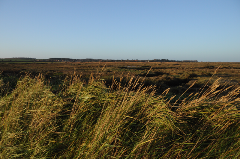 The view back towards Thornham from the beach path.