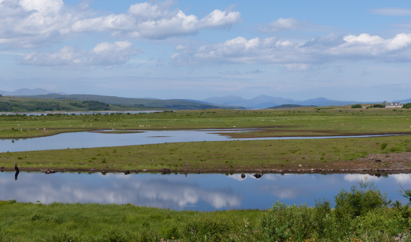 View from the Dalchork Bird Hide.