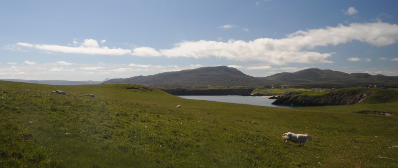 The view back to Durness. Plus bonkers sheep.