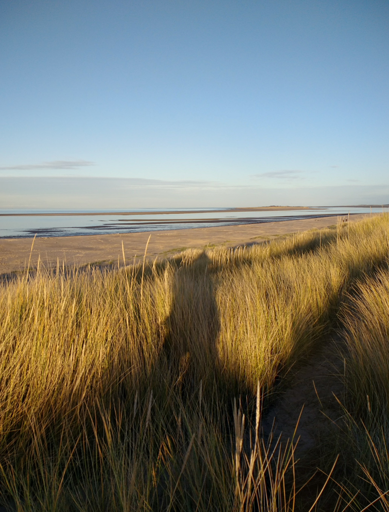 Culbin sands.