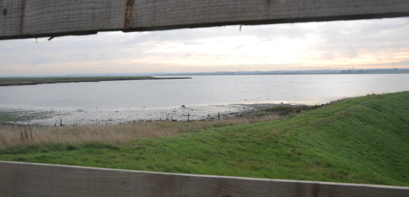 A view of the Swale, where the Wigeon are further away, but there's
     just a bit more atmosphere.